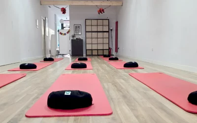 ¡Bienvenidos y bienvenidas al nuevo curso 2026 – 2027! Abrimos las puertas con la energía renovada
