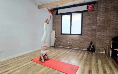 El alimento invisible: los nutrientes mentales que tu yoga necesita